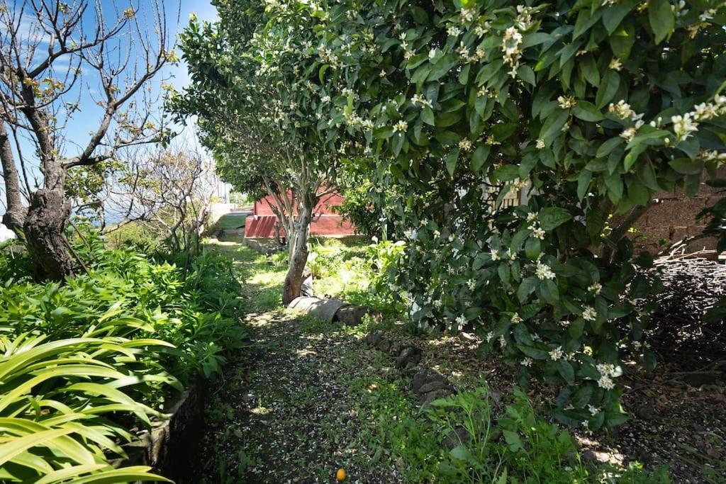 Casa El Monte Villa San Juan del Reparo Екстериор снимка