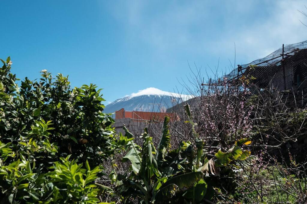 Casa El Monte Villa San Juan del Reparo Екстериор снимка